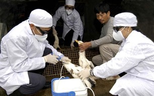 Vietnam develops vaccines against A/H5N1 and A/H1N1 viruses - ảnh 1
